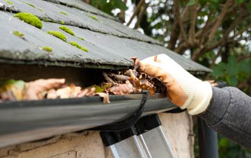 gutter cleaning Cleedownton, Shropshire