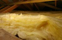 Cleedownton pitch roof insulation
